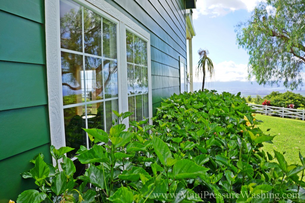 Window Cleaning Maui