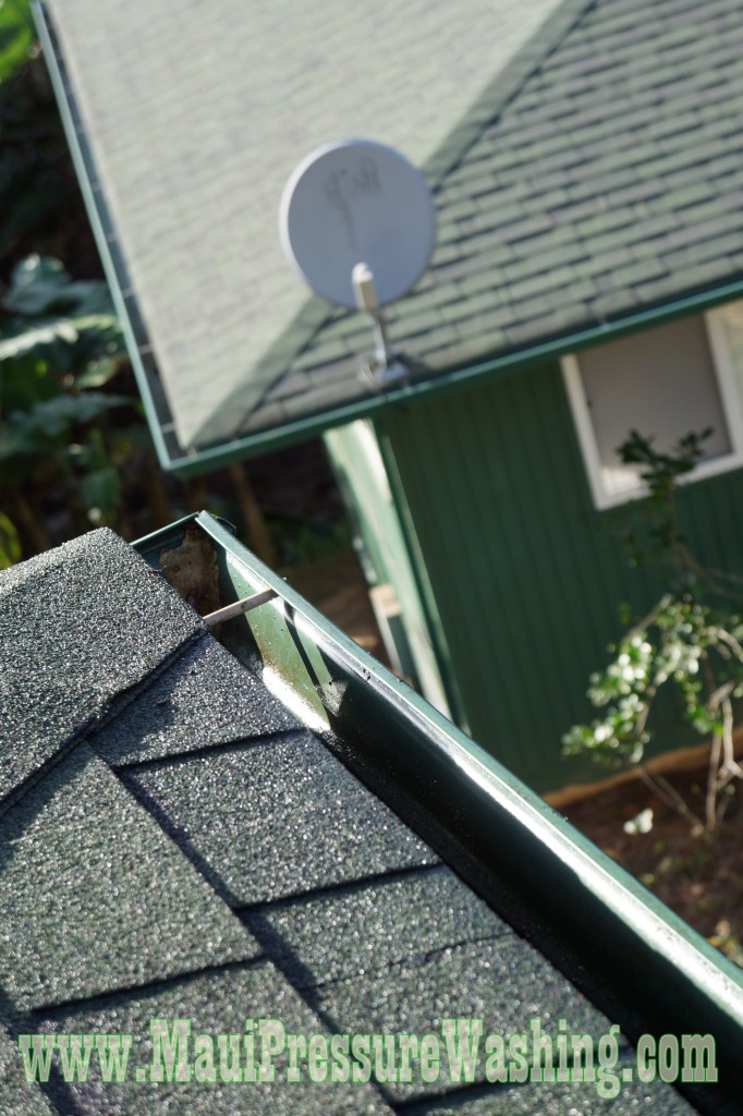 Maui Gutter Cleaning