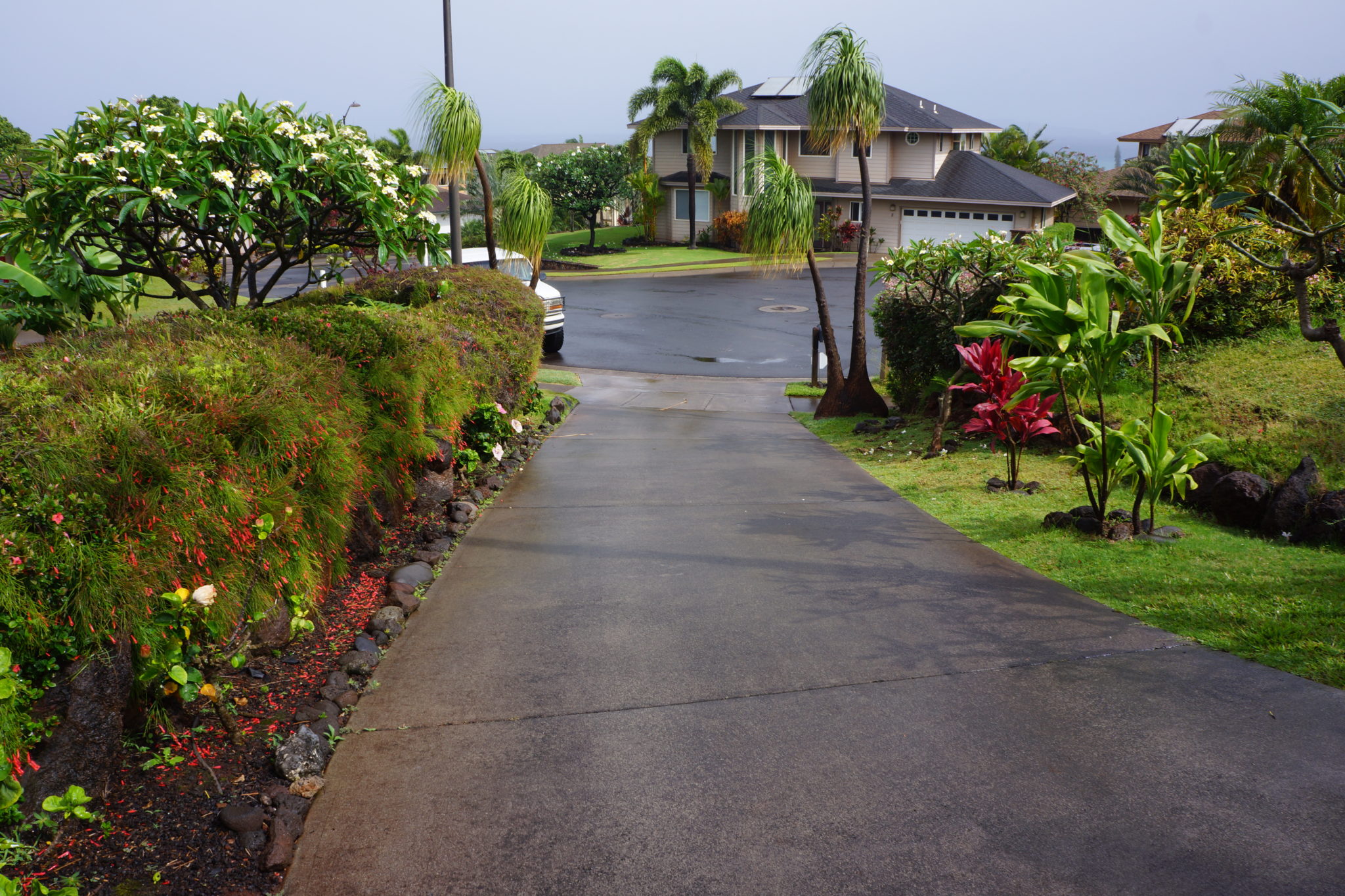 Maui Pressure Washing