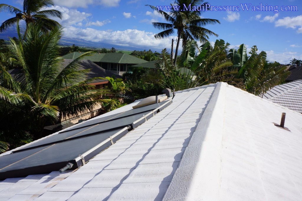 Maui Cement Roof Cleaning