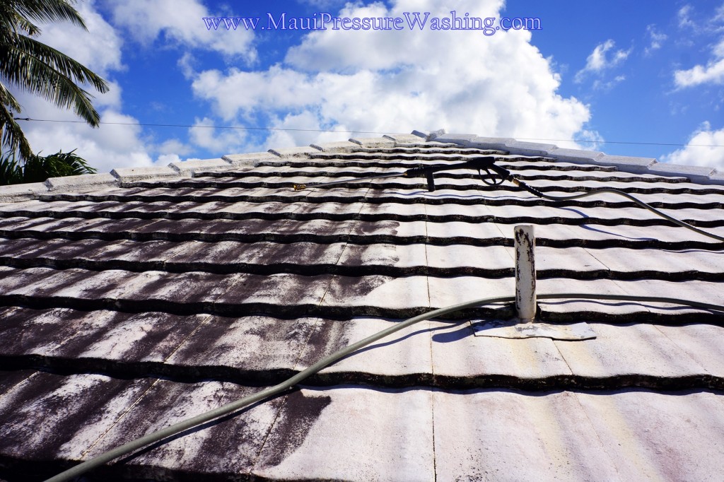 Maui Roof Cleaning