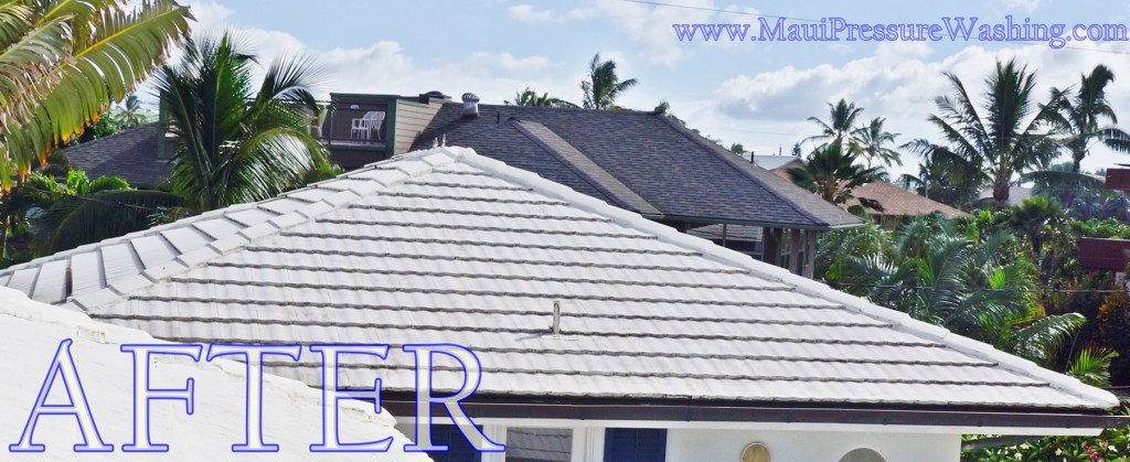 Clean Maui Roof