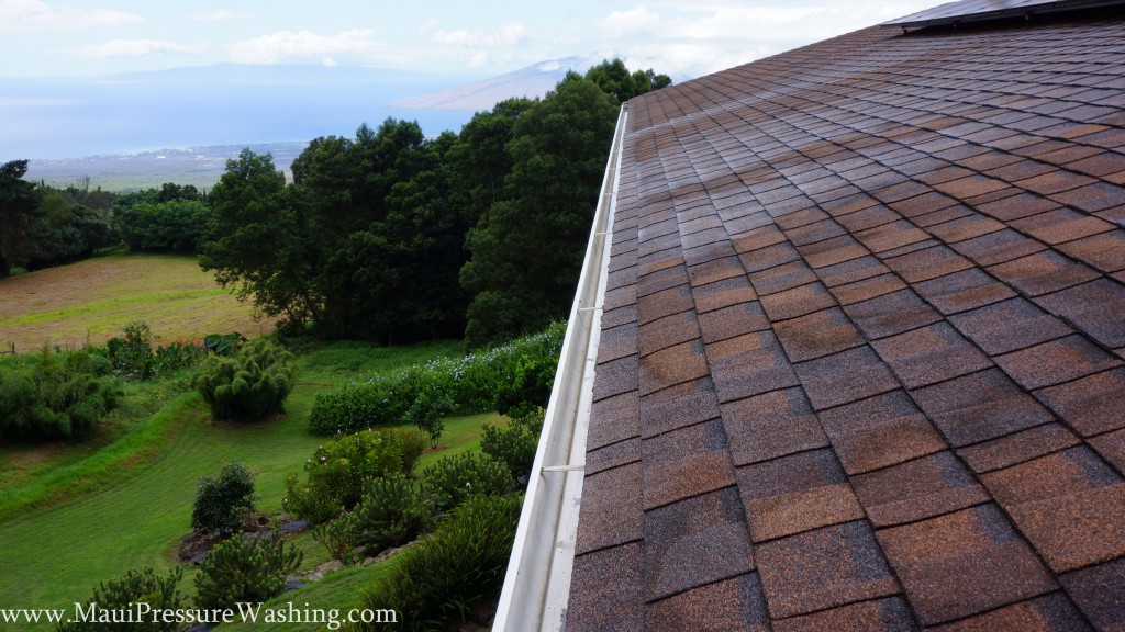Gutter Cleaning Hawaii