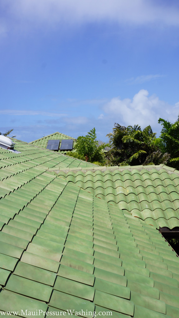 Roof Washing Maui