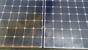 Solar Cleaning