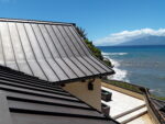 Maui Exterior Cleaning